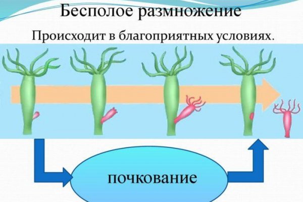 Официальный krab4.at