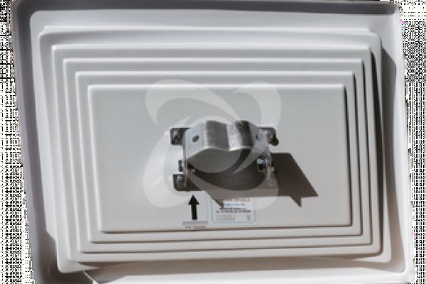 Официальный магазины котиков